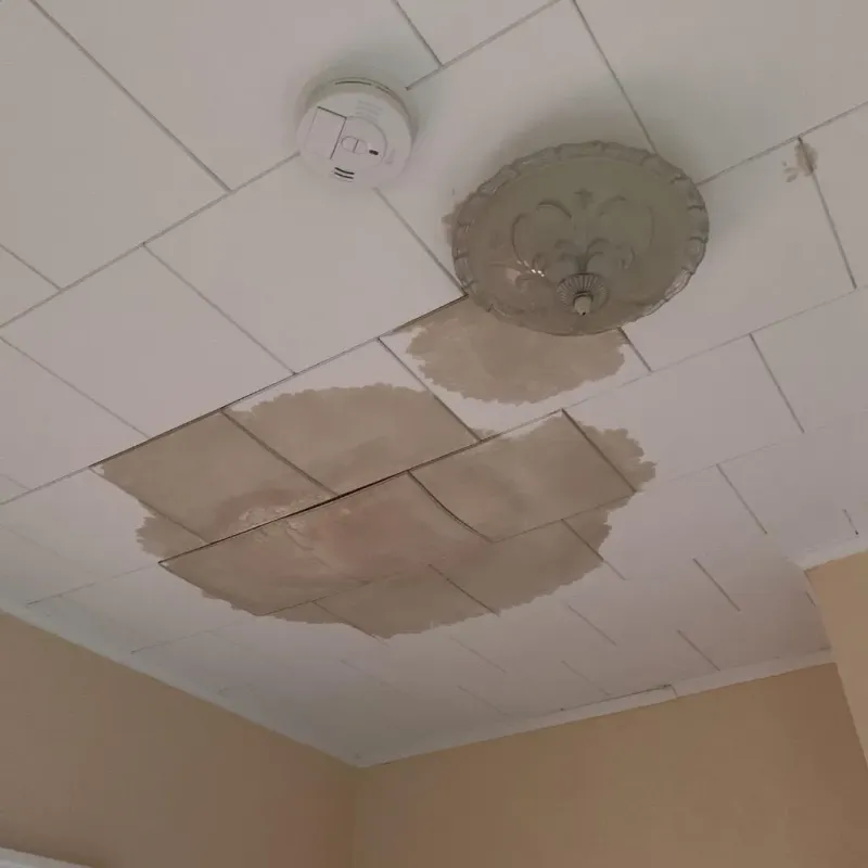 Ceiling Water Damage Repair in Von Ormy, TX